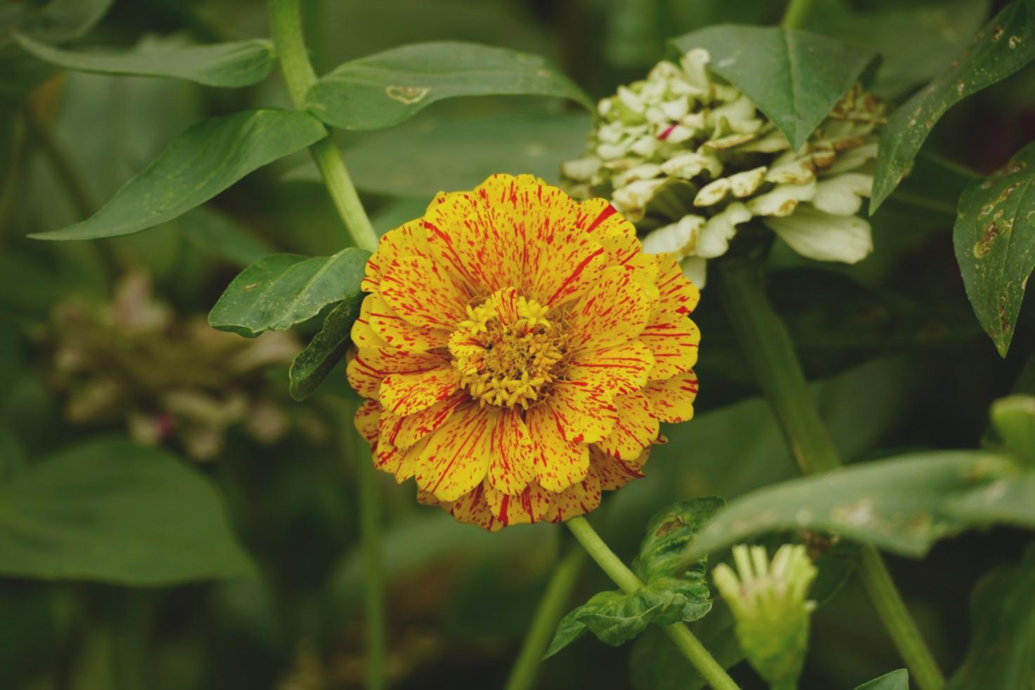 Instructor demonstrating floral wiring technique to students