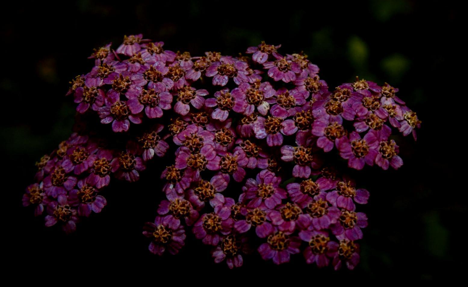 Student working on hand-tied bouquet arrangement during practical session