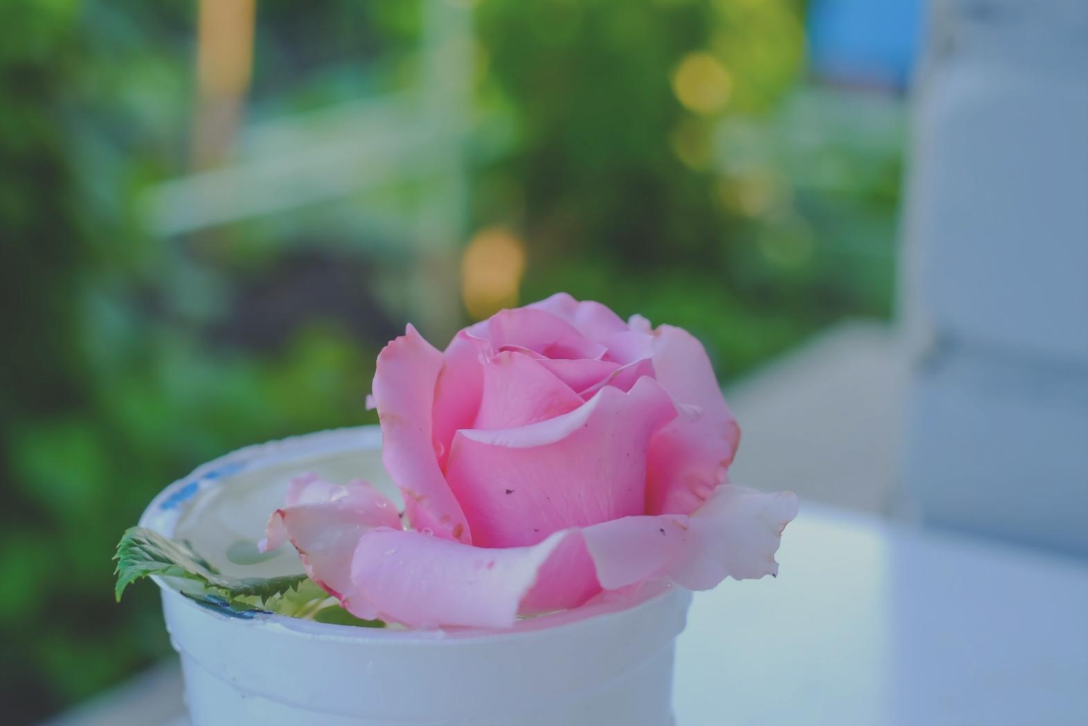 Students learning advanced bouquet wrapping techniques in natural light studio environment